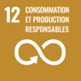 Icône ODD N°12 - Consommation et production responsables