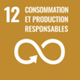 Icône ODD N°12 - Consommation et production responsables